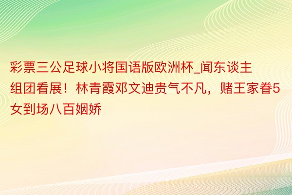 彩票三公足球小将国语版欧洲杯_闻东谈主组团看展！林青霞邓文迪贵气不凡，赌王家眷5女到场八百姻娇
