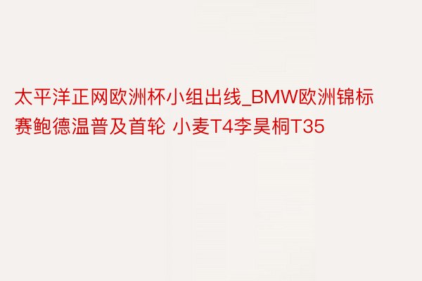 太平洋正网欧洲杯小组出线_BMW欧洲锦标赛鲍德温普及首轮 小麦T4李昊桐T35