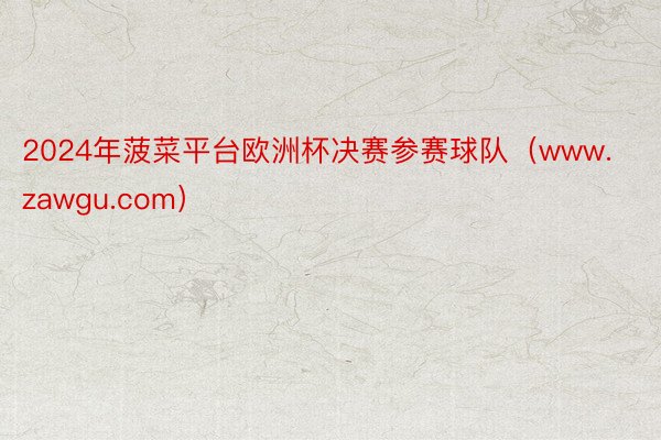 2024年菠菜平台欧洲杯决赛参赛球队（www.zawgu.com）